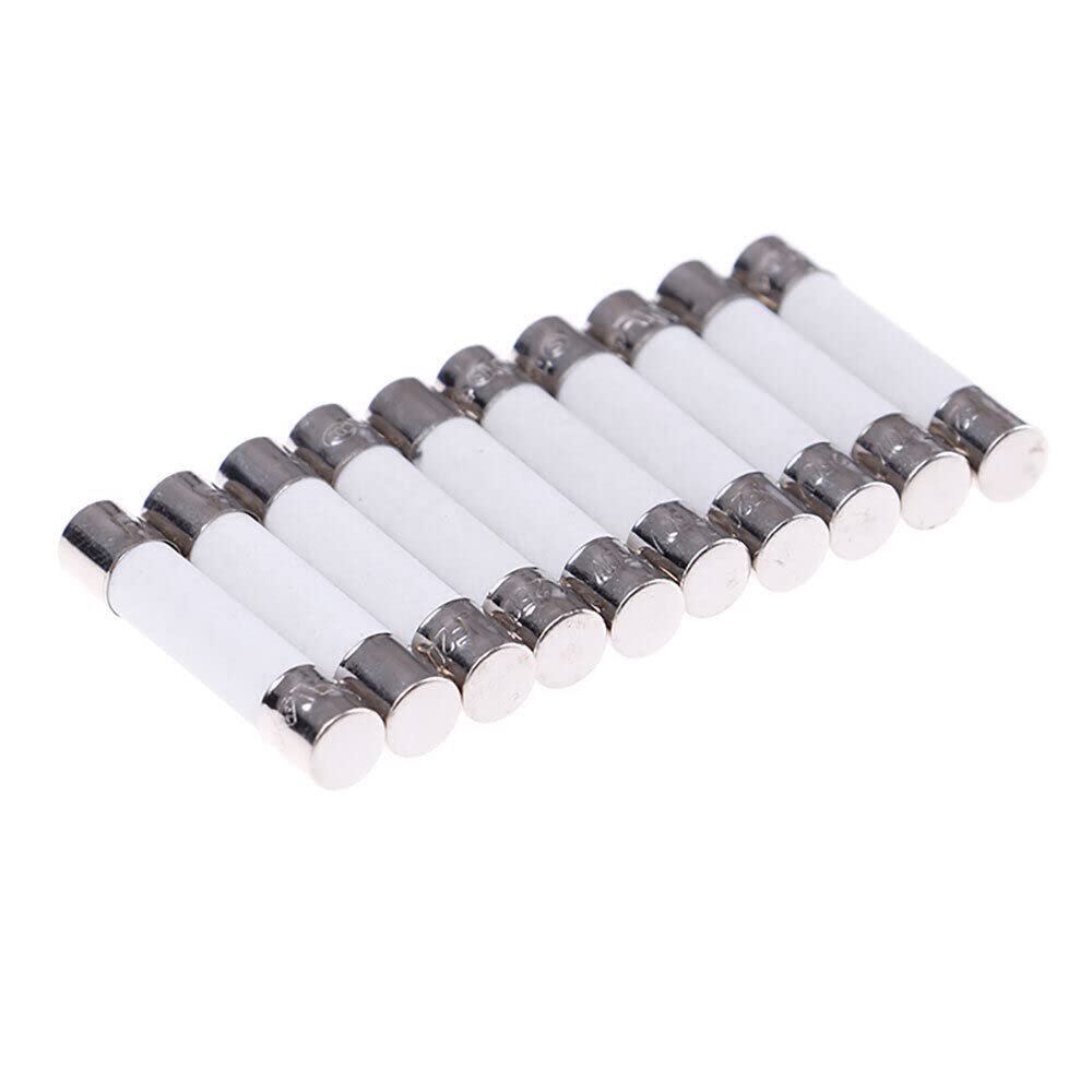20amp Universal Microwave Ceramic Tube Slow Blow Wire Ovens Fuses Parts 250v 60