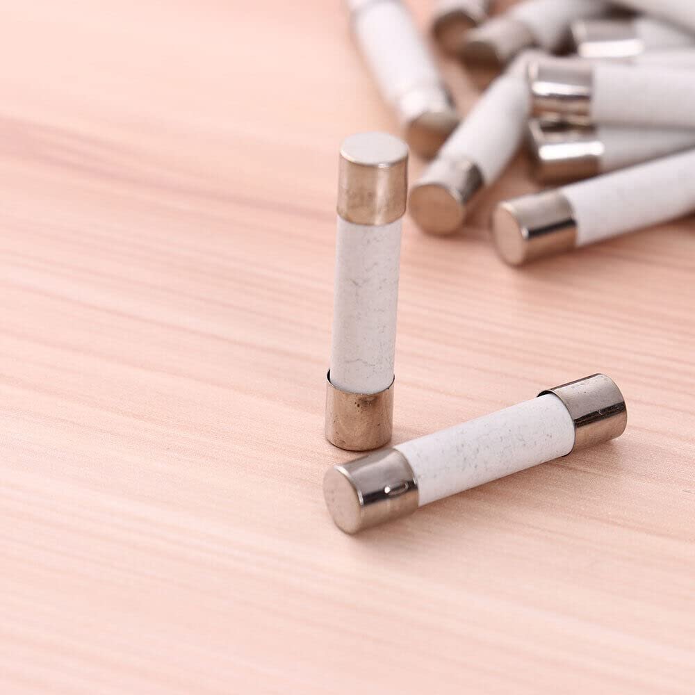 20amp Universal Microwave Ceramic Tube Slow Blow Wire Ovens Fuses Parts 250v 60