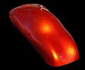 Custom Shop Kku-8403-kt Fire Orange Kandy Urethane 1-quart Color 1-h 
