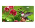 Hummingbird License Plate 