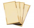 Radnor 2 X 4 1 Shade1 Gold-coated Polycarbonate Filter Plate 1 Ea 