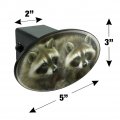 Cute Raccoons Curiosity Oval Tow Trailer Hitch Cover Plug Insert