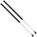 Window Glass Lift Support Struts Gas Springs For Smarttwo 2008 To 2016 For 6482 Set Of 2 17 52 In Extended Length