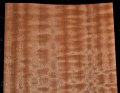 Figured Sapele Raw Wood Veneer Sheet 7 X 46 Inches 1 42nd 