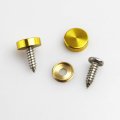 Screw Caps For License Plate Frames Set Of 4pcs Screws Washers Gold