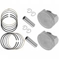 Caltric Piston And Ring Kit Compatible With Kawasaki 13001-0740 13008-0042 130010740 130080042