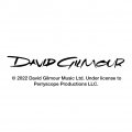 Graphics More David Gilmour Guitar Graphic Tow Trailer Hitch Cover Plug Insert