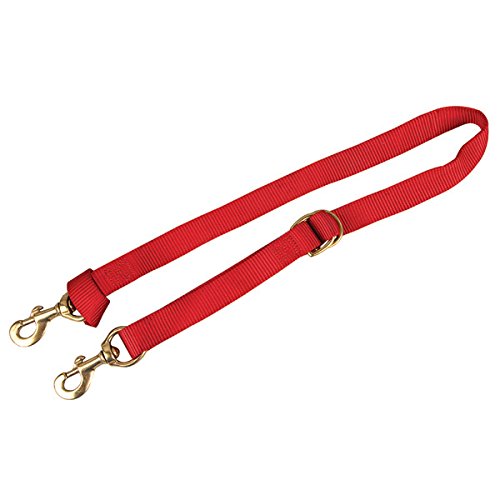 Weaver Deluxe Nylon Tie Down Strap Size 1 X40 Adjustable Color Red