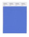Pantone Smart 17-4041x Color Swatch Card Marina 