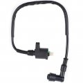 Amhousejoy Ignition Coil Fit For Honda 250 250ex Trx250ex Sportrax 2001 2002 2003 2004 2005 Atv 