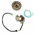 Labwork Stator And Flywhee Replacement For Yamaha Yfs 200 Blaster 1988-2006 