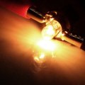 Cciyu 6 Pcs 509t T5 B8 5d Twist Halogen Light Bulbs 1 2w Replacement Fit For Instrument Panel Gauge Cluster Speedometer