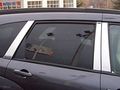 Qaa Is For 2007-2009 Suzuki Xl-7 6 Piece Stainless Pillar Post Trim Pp28871 