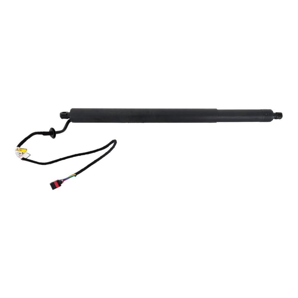 Liftgate Support For Land Rover Discovery Sport 2015 2016 2017 Driver Or Passenger Side Single Piece Replacement Lr075420