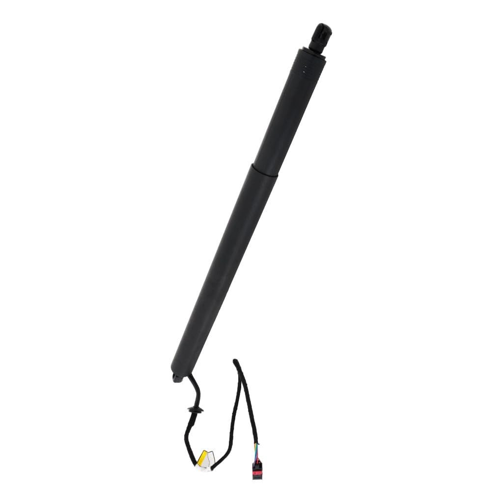 Liftgate Support For Land Rover Discovery Sport 2015 2016 2017 Driver Or Passenger Side Single Piece Replacement Lr075420