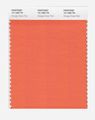 Pantone 15-1460 Nylon Brights Color Swatch Card 