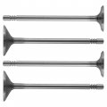 Caltric Exhaust And Intake Valve Compatible With Polaris Ranger Rzr 4 800 Gordon Edition Le 2010 2011 2012 2013 2014