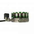 Stator Magneto Coil For Jianshe Atv250-5 Baja Wilderness Trail 250 Wd250-u 250cc 2
