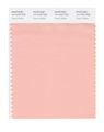 Pantone Smart 14-1418x Color Swatch Card Peach Melba 