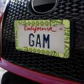 Mint Chocolate Chip Donut Yummy Green License Plate Tag Frame