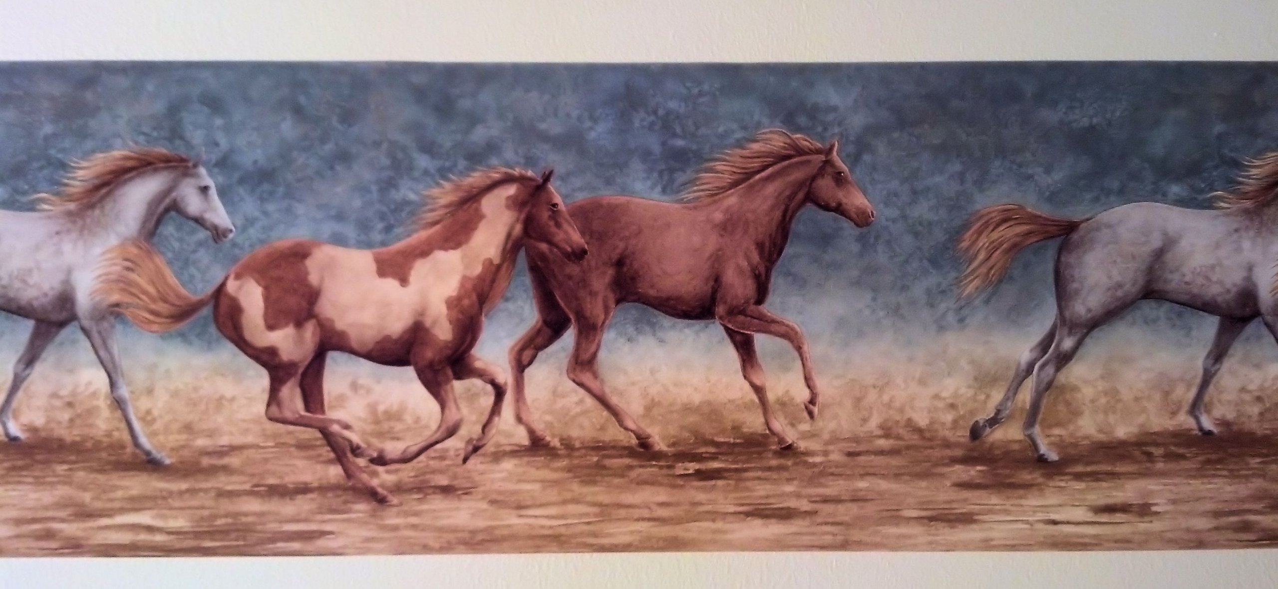 Wallpaper Border Running Wild Horses Bluea