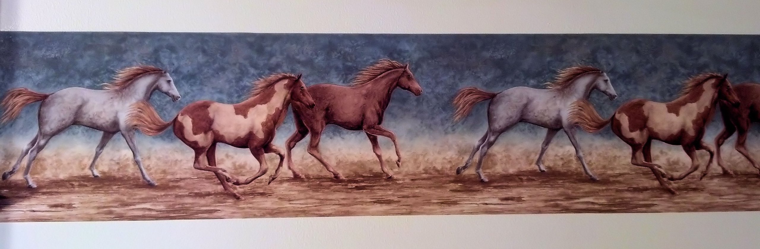 Wallpaper Border Running Wild Horses Bluea