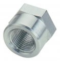 Fragola 496707 1 Fpt Weld Bung 