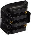 Denso 673-9101 Ignition Coil Direct Black 