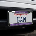 Southwest Baptist University Mascot Full Size Standard License Plate Metal Frame