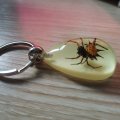 Ptgmh Black Scorpion Resin Keychain With Real Insect Sample Glow In The Dark Crafts For Men Spider Ant Crab Wasp Spider