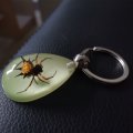 Ptgmh Black Scorpion Resin Keychain With Real Insect Sample Glow In The Dark Crafts For Men Spider Ant Crab Wasp Spider