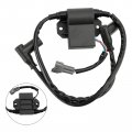 Topteng Cdi Box Igniter Ignition Coil For Ski-doo 420965756 420965757 420965591 Formula S 1996-1997 Touring E Skandic 600