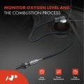 A-premium O2 Oxygen Sensor Compatible With Toyota Highlander 2017-2019 Lexus Rx350 Rx450h 2016-2021 Rx350l Rx450hl 2018-2021 V6