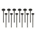Exhaust And Intake Valve Kit For Ford Fiesta Focus 1 0l Dohc 12v 2014 To 2017 Includes 6nd Valves Cm5z 6507 A 6505 Aust And 