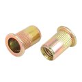 25 Pcs M10 Flat Head Rivet Threaded Insert Nuts Zinc Plated Carbon Steel Bronze Tone For Car