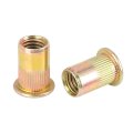 25 Pcs M10 Flat Head Rivet Threaded Insert Nuts Zinc Plated Carbon Steel Bronze Tone For Car