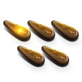 5pcs Teardrop Cab Marker Lights With All Necessary Mounting Hardware Wiring Harness Fuse Holder And An On Off Rocker Switch 