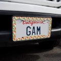 Citrus Medley Lemons Limes Oranges License Plate Tag Frame