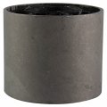 Trq Front Control Arm Bushing Lower Rearward Pair Set For 2001-2005 Bmw 325xi 300xi