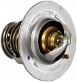 Motorcraft Rg-571 Seal Thermostat Motrt1234