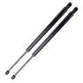 20 1 Liftgate 4573 Pm2033 Lift Supports Struts Fit For Buick Rainier Chevrolet Trailblazer Gmc Envoy Isuzu Ascender Oldsmobile