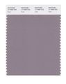 Pantone Smart 17-1505x Color Swatch Card Quail 