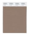 Pantone 17-1316 Tcx Smart Color Swatch Card Portabella 