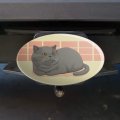 Chubby British Short Hair Grey Cat Oval Tow Trailer Hitch Cover Plug Insert