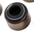 Engine Valve Stem Oil Seal Set For Gmc Sierra 15 1999 2001 Rubber And Steel 0 603 In Outside Diameter 0 496 Thickness Alx Pau