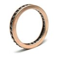 Transmaxx Borgwarner Sprag Forward