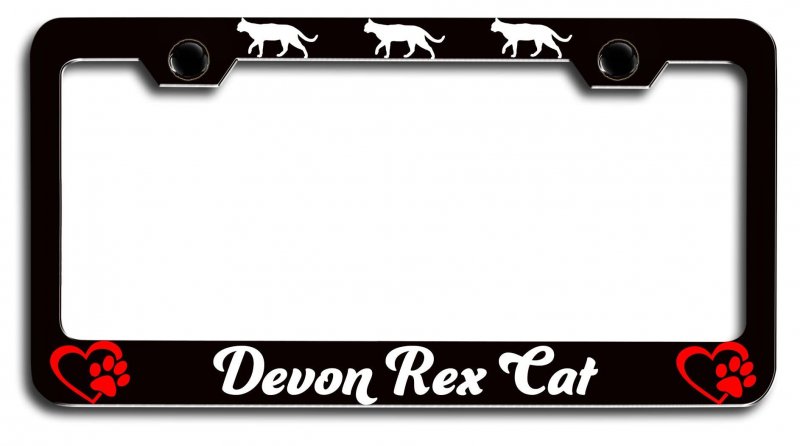 Devon Rex Cat Pets Black Metal License Plate Frame Tag Holder Universal Fit For Us And Canada Vehicles Heavy Duty Steel 12 5 X