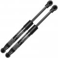 A-premium Front Hood Lift Supports Shock Struts Compatible With Select Bmw Models 645ci 2004-2005 650i M6 2006-2010 Coupe
