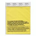 Pantone Smart Swatch 13-0644 Golden Kiwi 