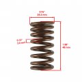Caltric 4x Valve Springs Compatible With Suzuki Kingquad 750 Lta750xz 4x4 Limited Axi 2011 2012 2013 2014 2015 2016